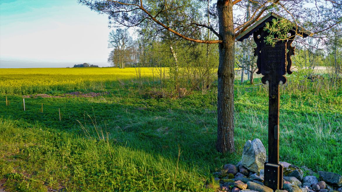 Sunaikintos Martyno ir Annos Reizgių sodybos vieta Jurgių kaime, 2020 m. / D.Bielkausko nuotr.